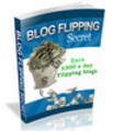 Thumbnail Earn $300 a day flipping Blogs